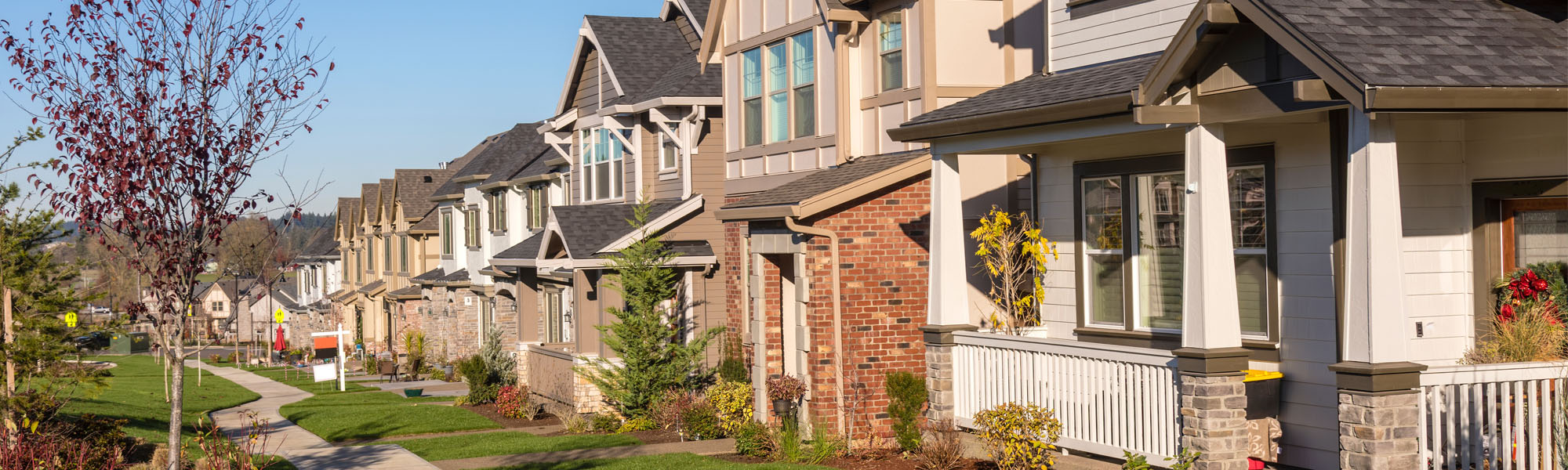 row of houses in a suburb